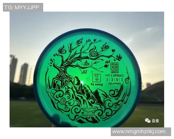 飞盘新手攻略：灵活性入门指南